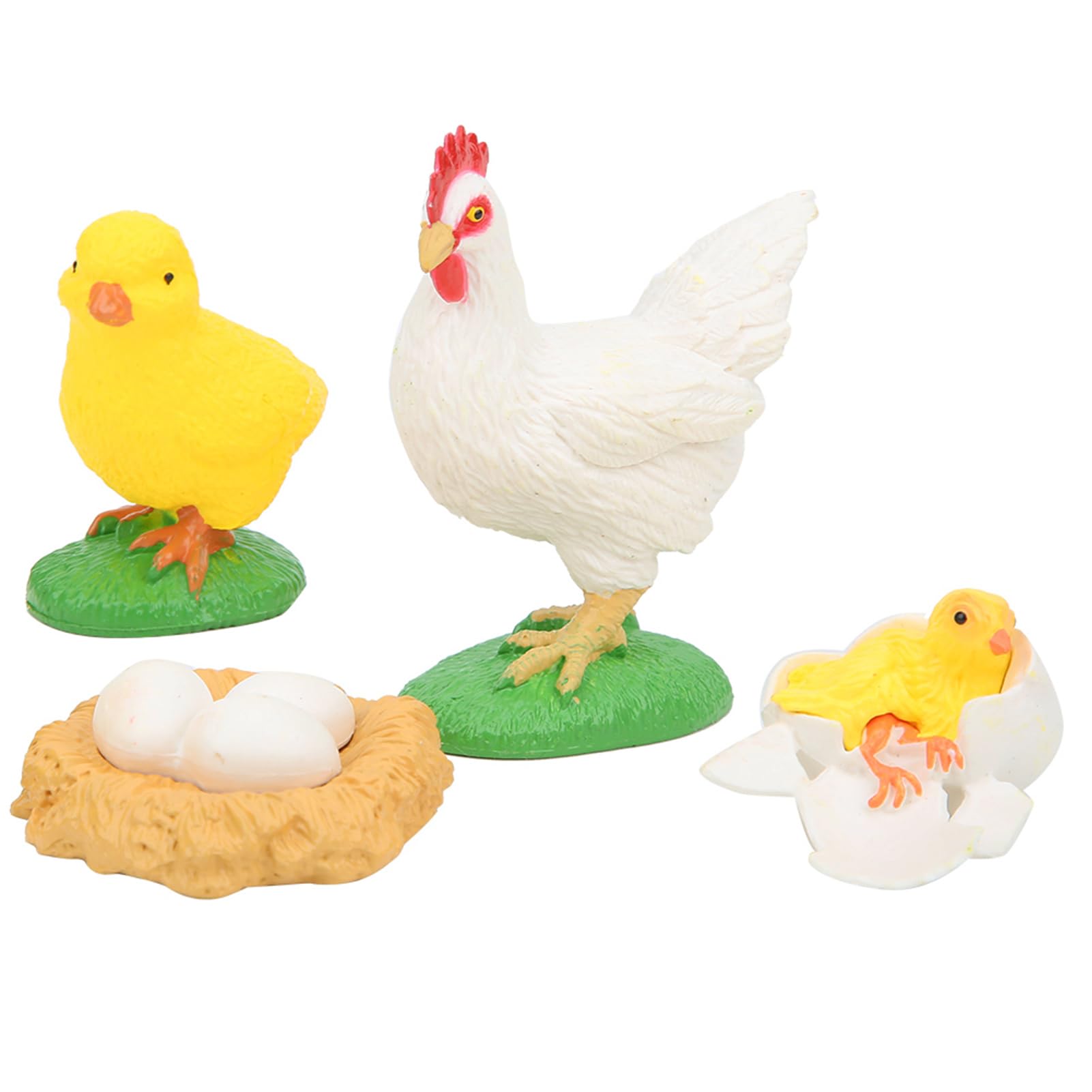 Zerodis Highly Simulation Animal Life Cycle 4 Part Animal Learning Model Educational Toys for Toddlers(Chick Life Cycle)