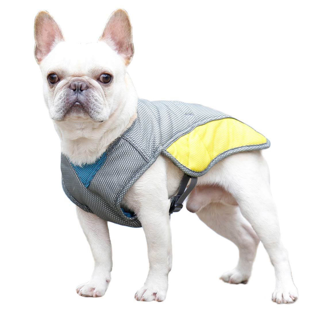 Dog Clothes,Pet Cooling Vest Jacket for Bulldog Small Dog Cooling Vest Summer Coat (S-Chest: 40-50cm)