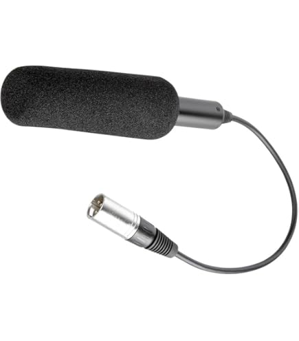 Amazon.com : Panasonic AGMC200G Unidirectional Microphone (Black