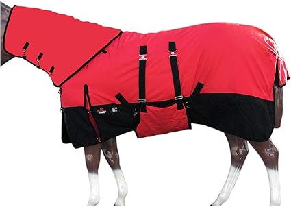 Amazon Com Hilason 66 In 1200d Waterproof Winter Horse Blanket Neck Cover Belly Wrap Sports Outdoors