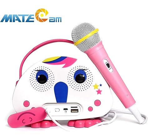 best karaoke speakers 2019