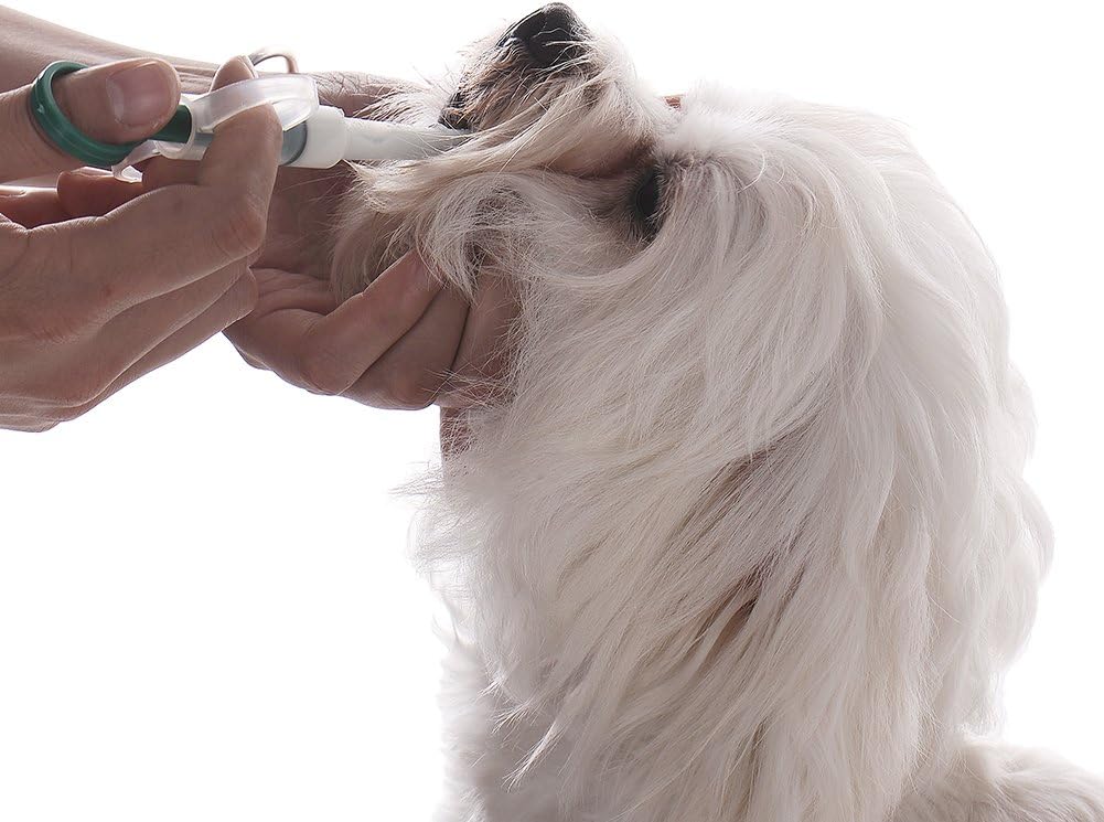 Lance Pilule Seringue Distributeur De Medicament Comprime Avec Un Embout Doux Pour Animal Domestique Chien Chat Chaton Amazon Fr Animalerie