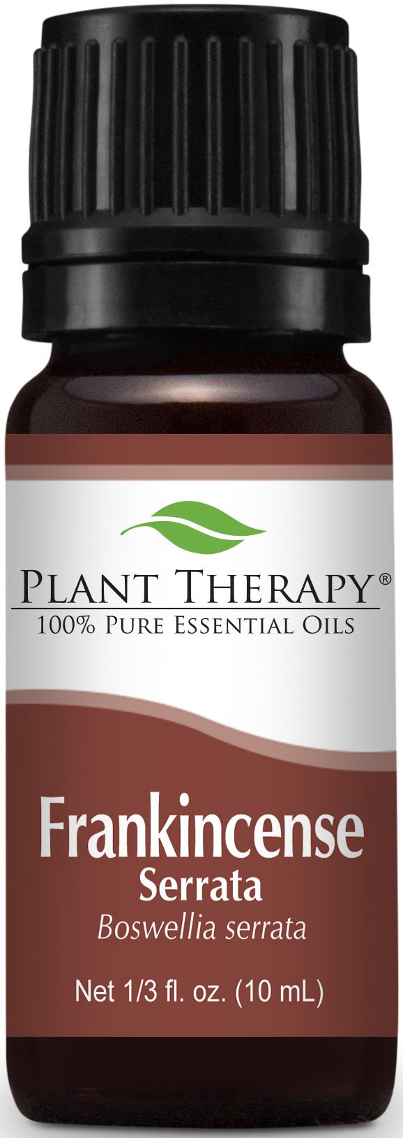 Frankincense Serrata Essential Oil. 10 Ml. 100% Pure Undiluted Therapeutic Gr.. 21 61lNmX5%2B7rL