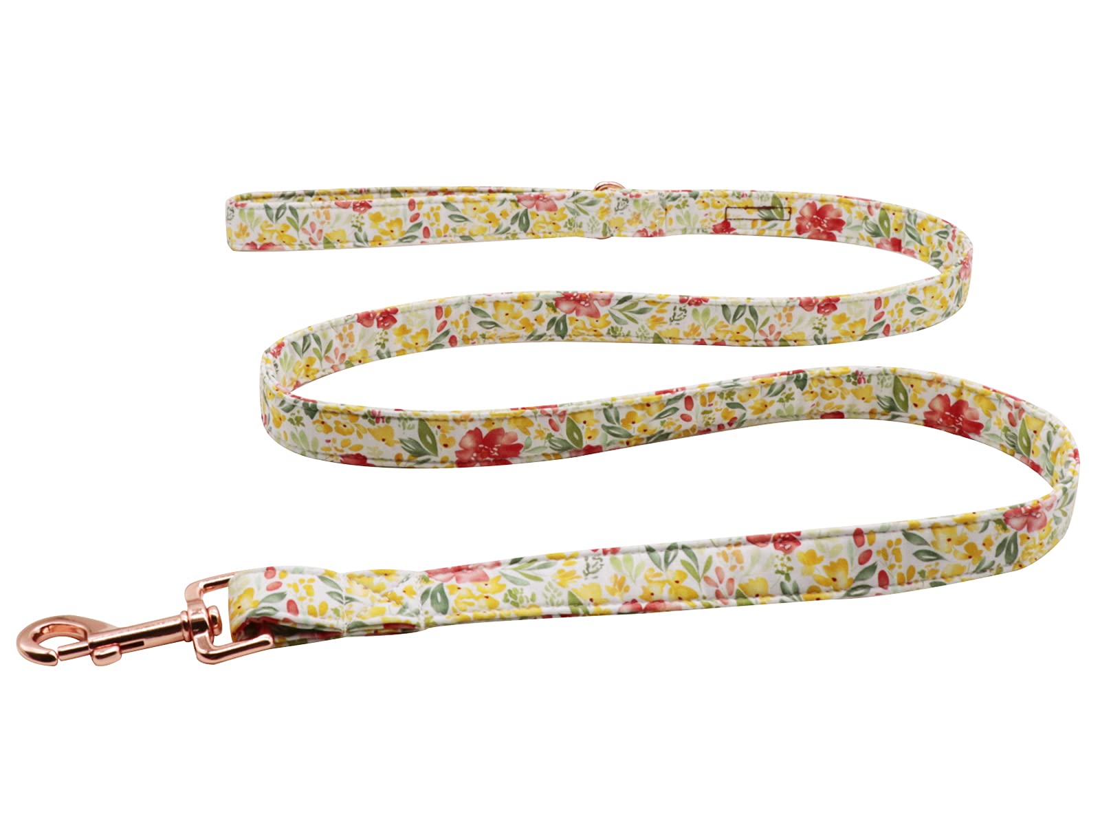 Lionet Paws Dog Lead, Dog Leash Matching Dog Collar for Small Medium Large Dog