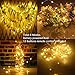 String Lights,SOLMORE 33ft/10M 100 LED Fairy Lights Firefly Lights Starry Lights Copper Wire Lights Battery Operated+Remote Control 8 Modes for Christmas Party Patio Wedding Dancing Decor (Warm White)