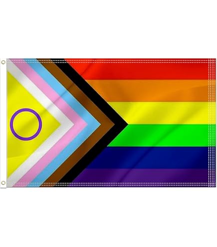 Intersex Inclusive Progress Pride Flag 3x5ft – 100D Polyester, Printed By Trade Winds