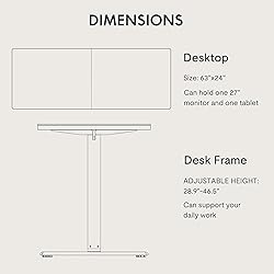 FLEXISPOT Standing Desk Electric Height Adjustable