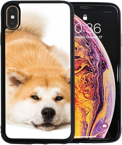 Jospictjatioa 画像をダウンロード 犬 擦り傷 犬 擦り傷 顎