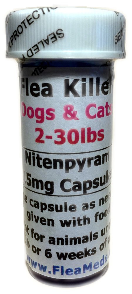pet toy storage