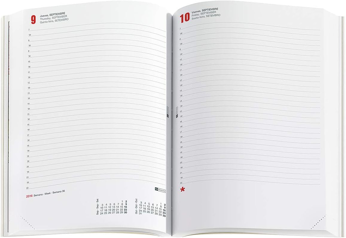 Miquelrius 22062 - 2020 Diary, Day Page (155 x 213 mm), Desktop, Chester Aquamarine, Spanish, aqua blue, 155 x 213 mm (DP) - Image 3