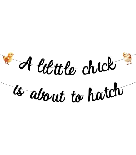 Baby Shower Dekoration 'A Little Chick Is About To Hatch' – Banner Mit Küken-Motiven, 14-teilig