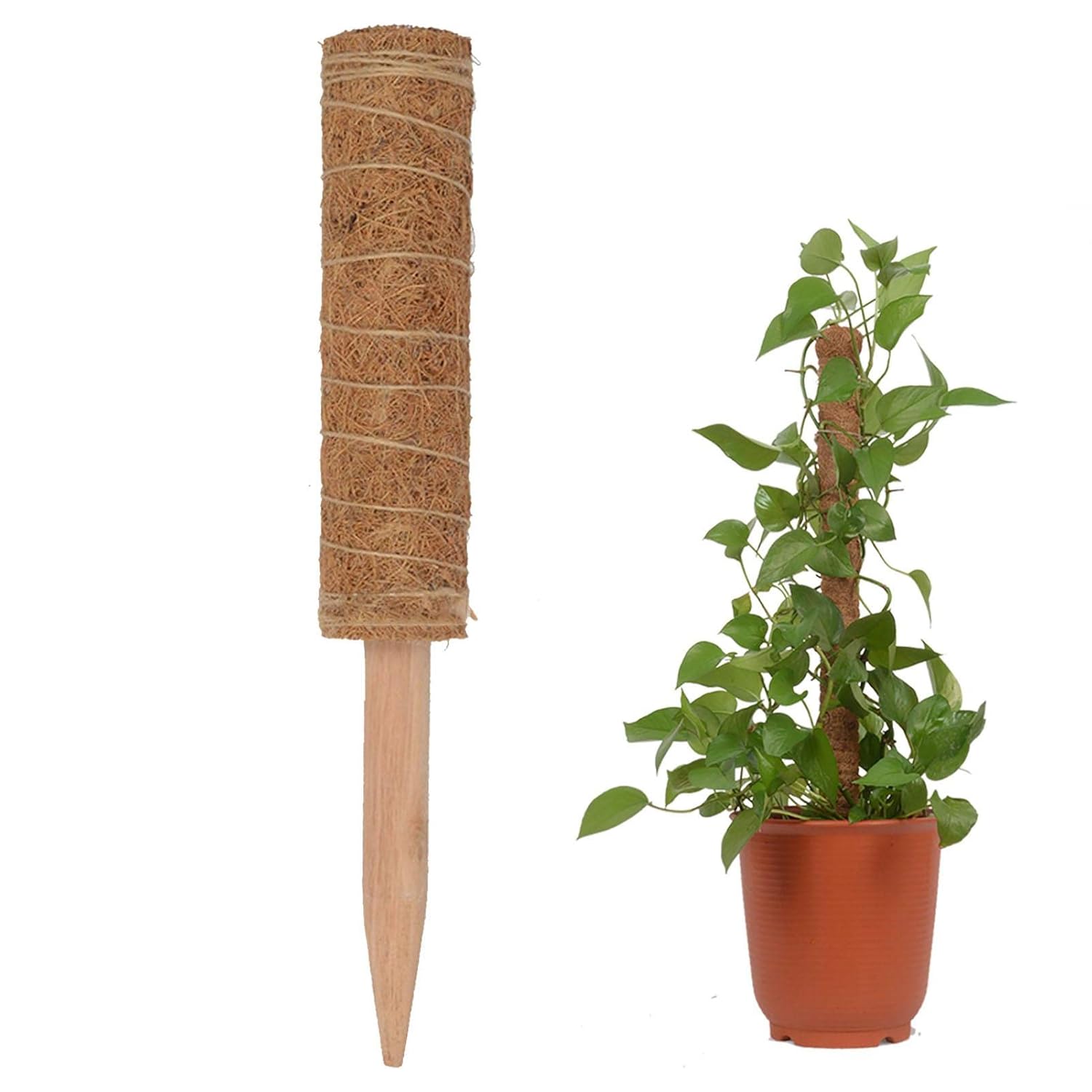 Coir Moss Pole, Stitchable Plant Support Totem Pole Coco