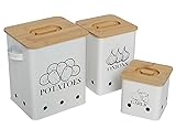 Gdfjiy Kitchen Canisters Set, Storage Bin for