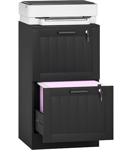 Fireking Fireproof Vertical File Cabinet (2 Legal Sized Drawers