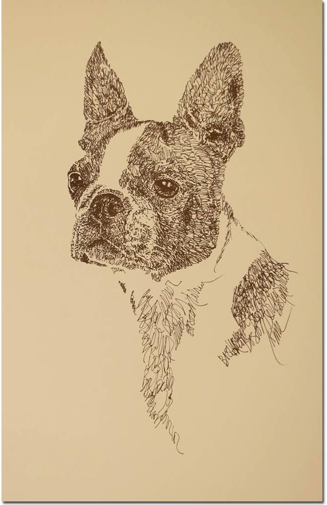 Stephen Kline Boston Terrier Lithograph