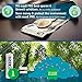 Ansmann Rechargeable Batteries AA 2000 mAh NiMH Plus Battery Box - Low self-Discharge Double A Batteries pre-Charged for Camera, Flashlight, Toys, Solar Light, headlamp, Controller etc - 12 Pack