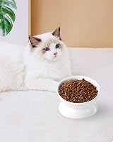 LoeJan Elevated Cat Food Bowl 5 Oz Ceramic Raised Tilted Pet Water Bowl White 4 view 7