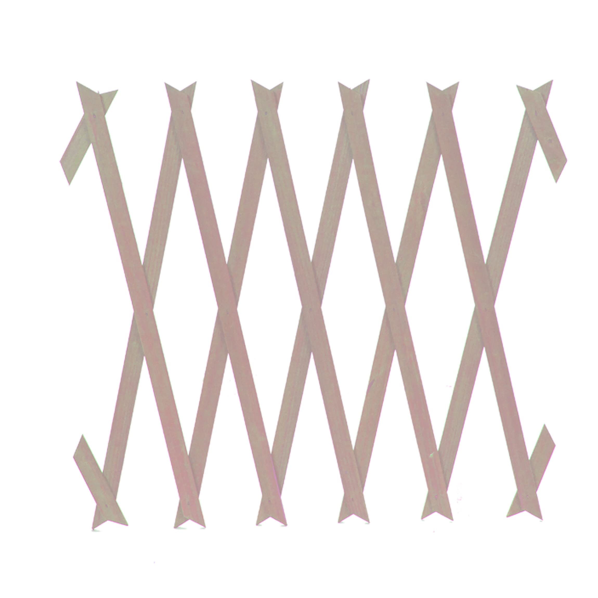 VFM - Expanding Wooden Trellis 150cm X 30cm - Roots & Shoots