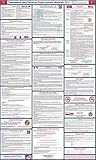 2017 Tennessee State and Federal Labor Law Poster - Laminated 24