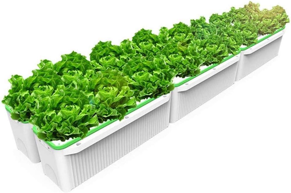 BOHENG Indoor Garden Hydroponics Watering Growing System Organic Home Herbs Gardening Kit for Flower and Vegetable