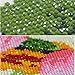 DIY 5D Diamond Painting by Number Kits , AMA(TM) Crystal Rhinestone Pasted Diamond Embroidery Cross Stitch Canvas Paintings Pictures Arts Craft for Home Wall Decor (D)