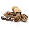 Organic Unprocessed Tamarind Pods - 2 Lb Bag, Whole Pods, From Mexico (Tamarindo En Cascara)