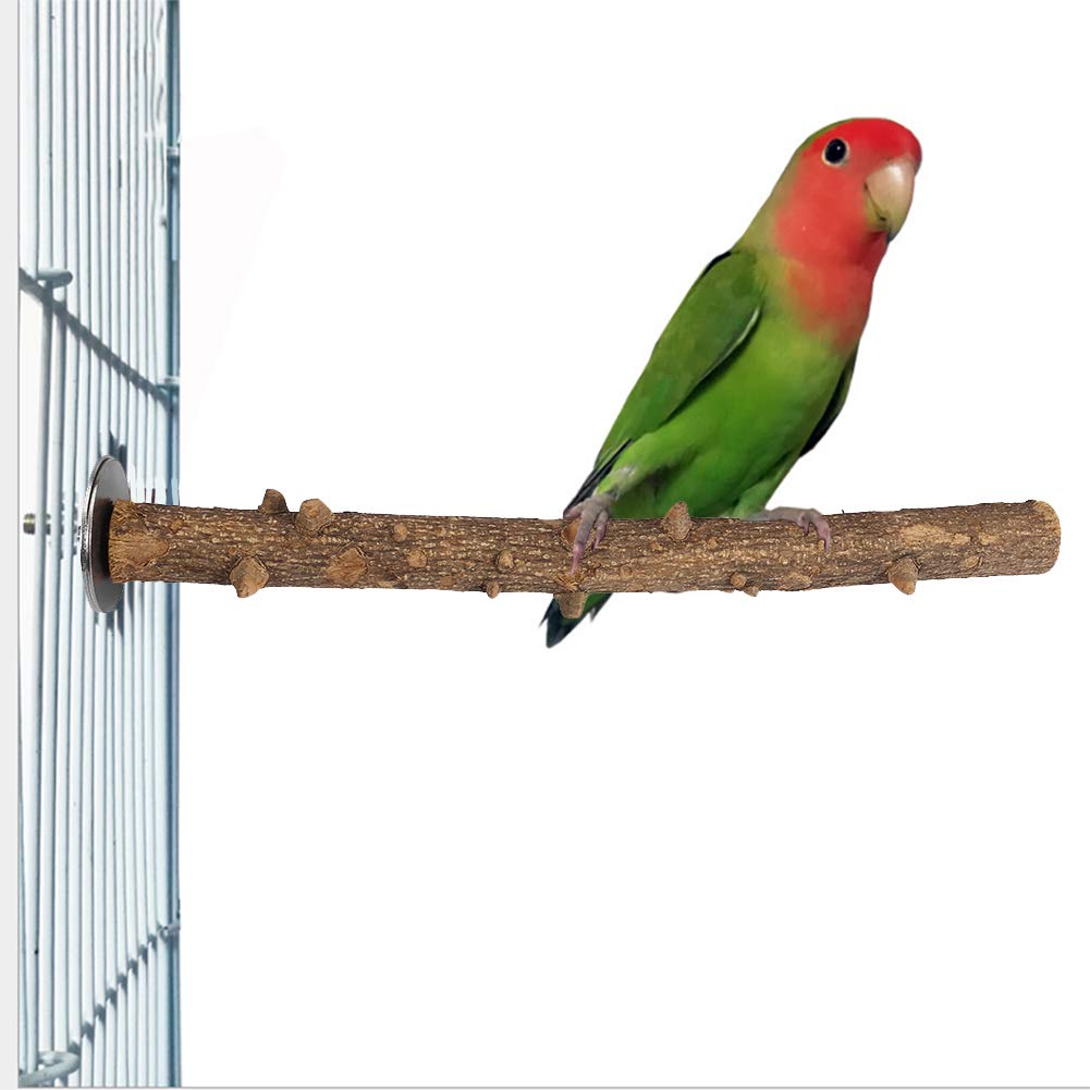 Prickly Ash Wood Bird Perch Wooden Chew Bite Grinding Toy for Parakeets Budgies Cockatiels Conures Cage Hanging 1.5-2.5x25cm