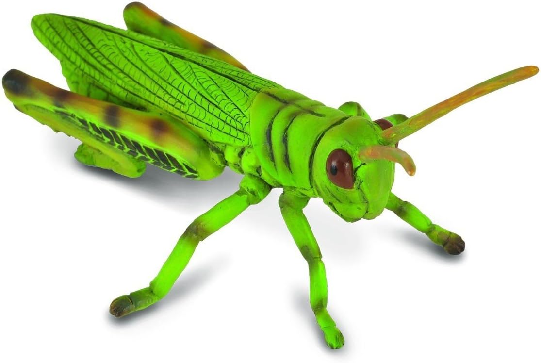 CollectA Insects Grasshopper Toy Figure - Authentic Hand Painted Model