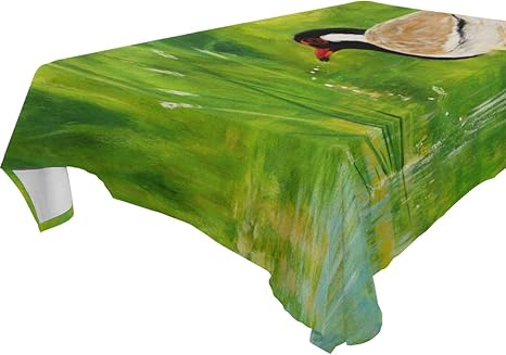 Amazon Kimdface テーブルクロス Redwattled Lapwingアクリル画 装飾 テーブルカバー 耐久 耐熱 テーブルマット 四季通用 雰囲気が一気に変わる 140x0cm テーブルクロス オンライン通販