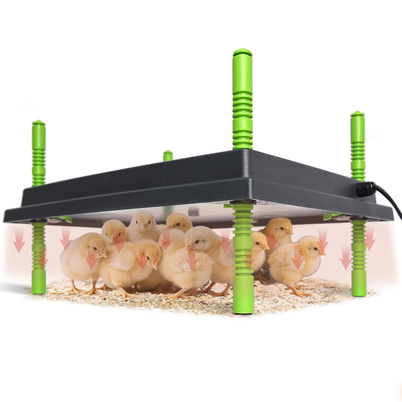 Photo 1 of Shaledig Chick Brooder Heater Plate, 12"x16" Warmer Brooder Plate for Chicks with Adjustable Height & Temperature Display, 30W Temperature Control Brooder Heating Plate for 40 Baby Chicks Duck