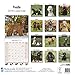 Poodle Calendar - Only Dog Breed Poodle Calendar - 2016 Wall calendars - Dog Calendars - Monthly Wall Calendar by Avonside