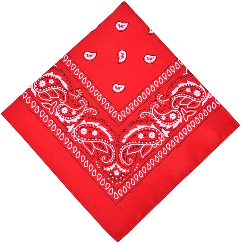 Aomig Bandana Head Scarf Men Women Red Paisley Multi purpose Headwrap 73x36cm
