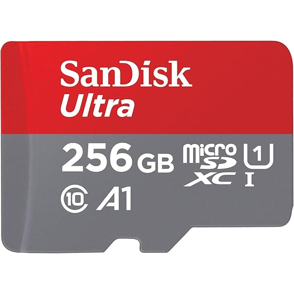 Cayin N5 + microSDカード 256GB Amazon.com: Kingston 256GB Canvas Select Plus microSD Card | Up to