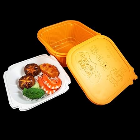 Fiambrera desechable YC Fiambrera de plástico Rectangular Japonesa Caja de Comida rápida Caja de Comida rápida Sushi Sashimi Filete Pasta Caja Doble [20pack]: Amazon.es: Hogar