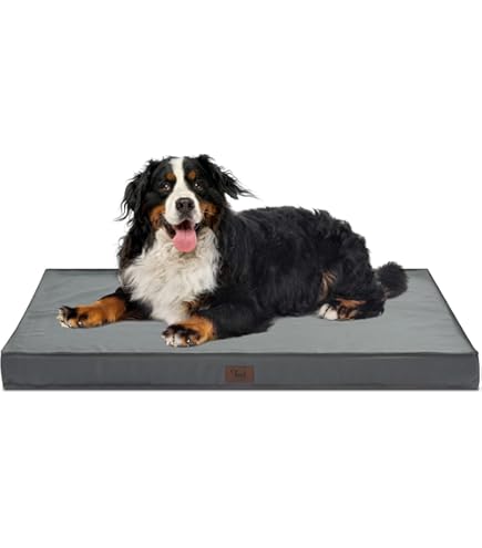 【Sleep】 SLEEP DOG ジャガード
マルチカバー 51RrcjMgapL.jpg_BO30,255,255,