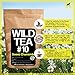 Herbal Chamomile Tea by Wild Foods Egyptian Chamomile, Wild Tea #10 by Wild Food (4 ounce)