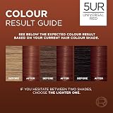 L'Oréal Paris Excellence Universal Reds Ammonia-Free Hair Colour 5UR Universal view 5