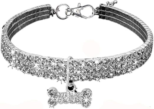 articulos para perros amazon