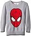 Marvel Little Boys' Toddler Spiderman Boys Sweater, Grey, 2T
