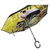 Rain Protection Panda,Big Panda Sitting Forest