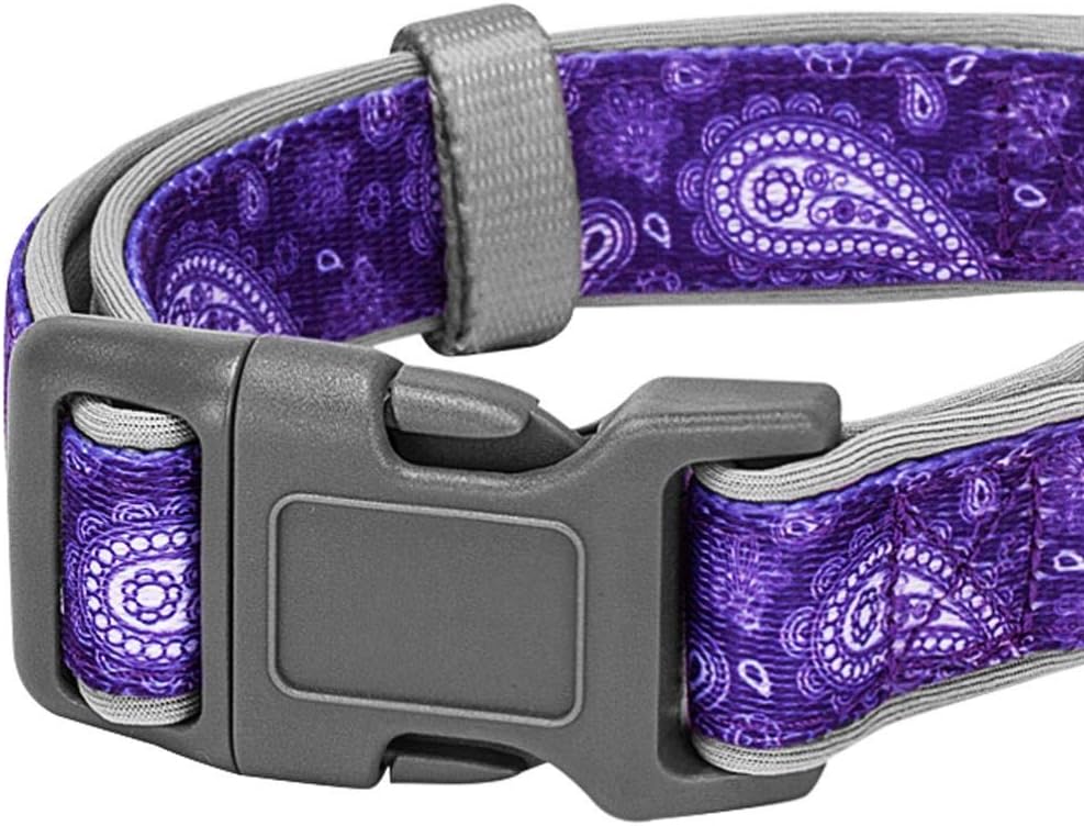 Blueberry Pet 5 Patterns Soft & Comfy Paisley Flower Print Neoprene Padded Adjustable Dog Collar, Violet, Large, Neck 18"-26" : Pet Supplies