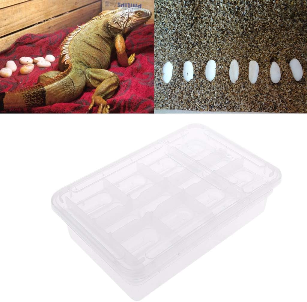 ❤Reptile Incubator Breeding Box Eggs Tray Gecko Chameleon Dedicated Hatchery Box Hatching Tool