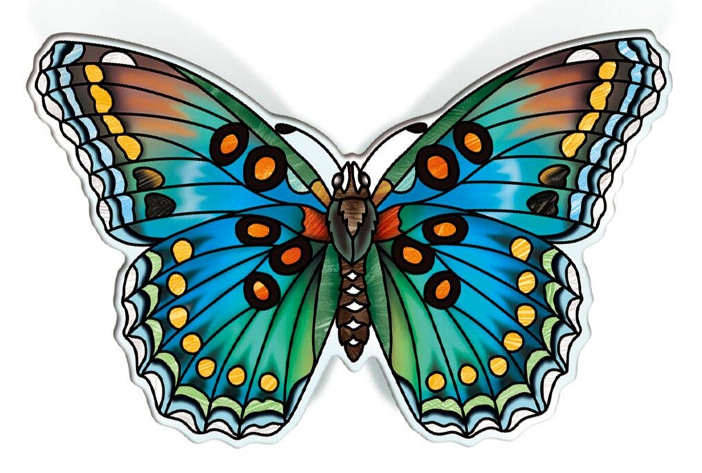 Amia Set of Two American White Admiral Butterfly, Acrylic Magnet Multicolored