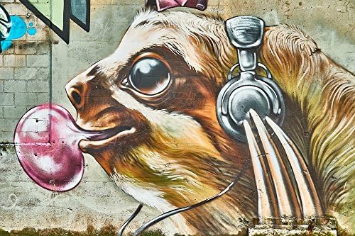 fenggungun Graffiti art sloth headphones murals 24x36 Inches Poster Printing Modern Home Decor Office Space Artwork