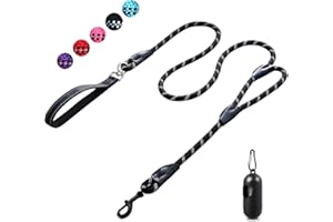 CHENEDY Dog Leash, 6 Foot Dog Leash, 2 Extra Padded Handles, Lockable Metal Carabiner Clip, Reflective No Pull Heavy Duty Rope Lead, Walking, Training, Running, Medium to Large Breeds（Black）