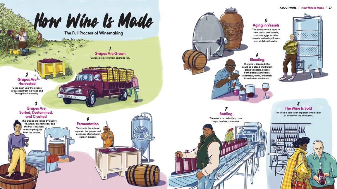 Rebel School Of Wine: A Visual Guide to Drinking with Confidence