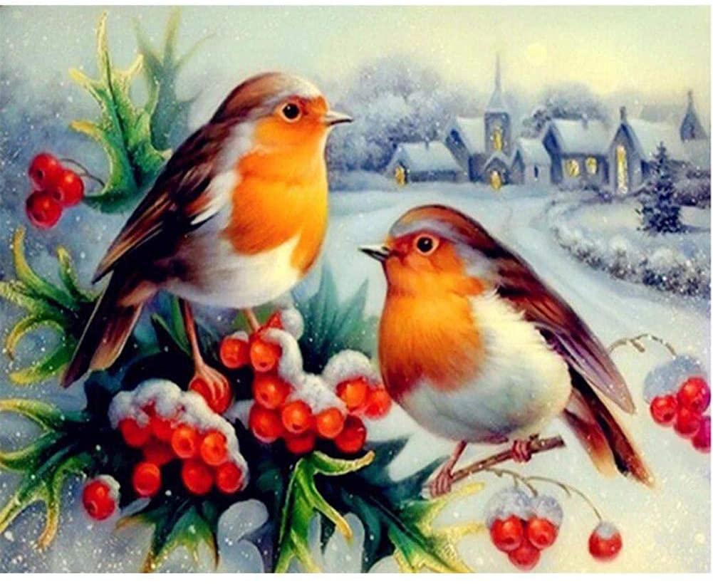 Christmas Diamond Painting Kits 5D DIY Diamond Painting Full Drill Cross Stitch Kit DIY Painting Kit Best Gifts fit for Birthday Christmas (Bird)