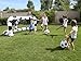 Bestway Inflatable Soccer Net