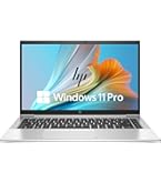 Amazon.com: HP ProBook 430 G8 13.3