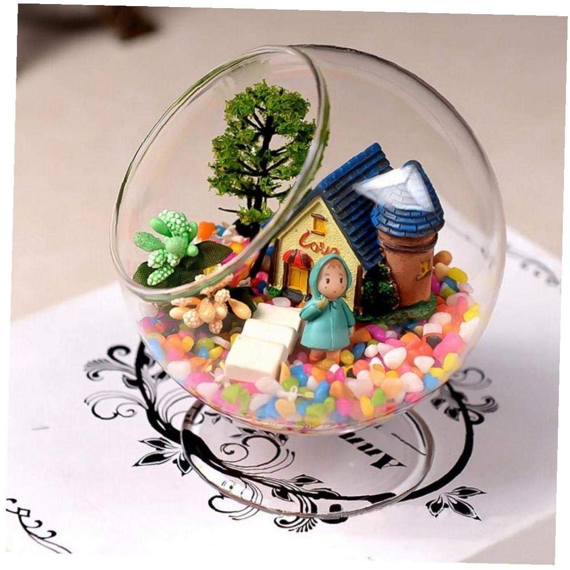 Bricolaje Transparente Bulbo De Cristal Del Florero Flor De Escritorio De Agua Del Jarron Micro Paisaje Titular De La Botella De La Para La Decoracion Del Hogar Jarrones Hogar Y Cocina